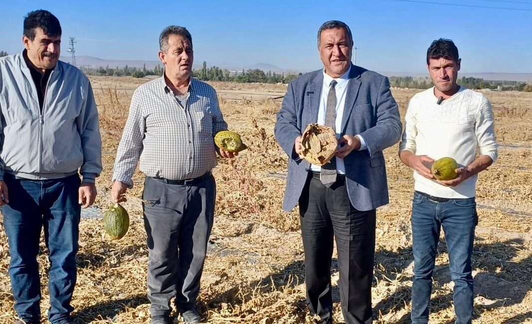 Gürer: “Çiftçi zarar ediyor, tüketici ucuz gıdaya ulaşamıyor” Gürer: “Tarlada