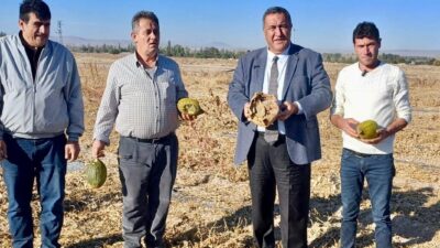 Gürer: “Çiftçi zarar ediyor, tüketici ucuz gıdaya ulaşamıyor” Gürer: “Tarlada