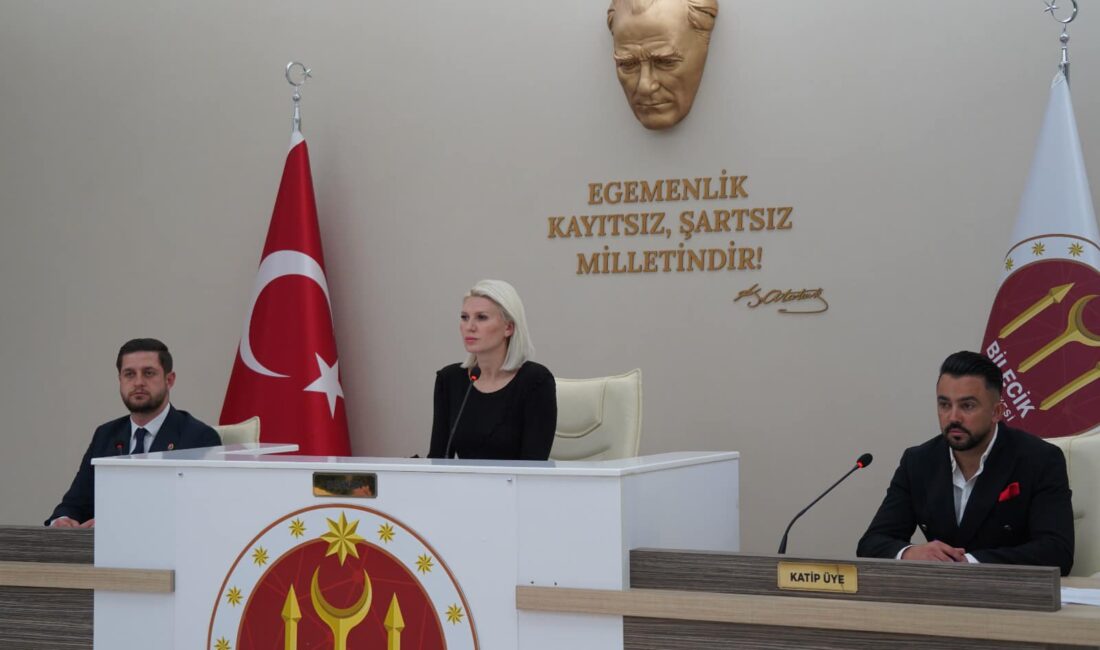 Bilecik Belediyesi kasım ayı meclis toplantısı, Belediye Başkanı Melek Mızrak