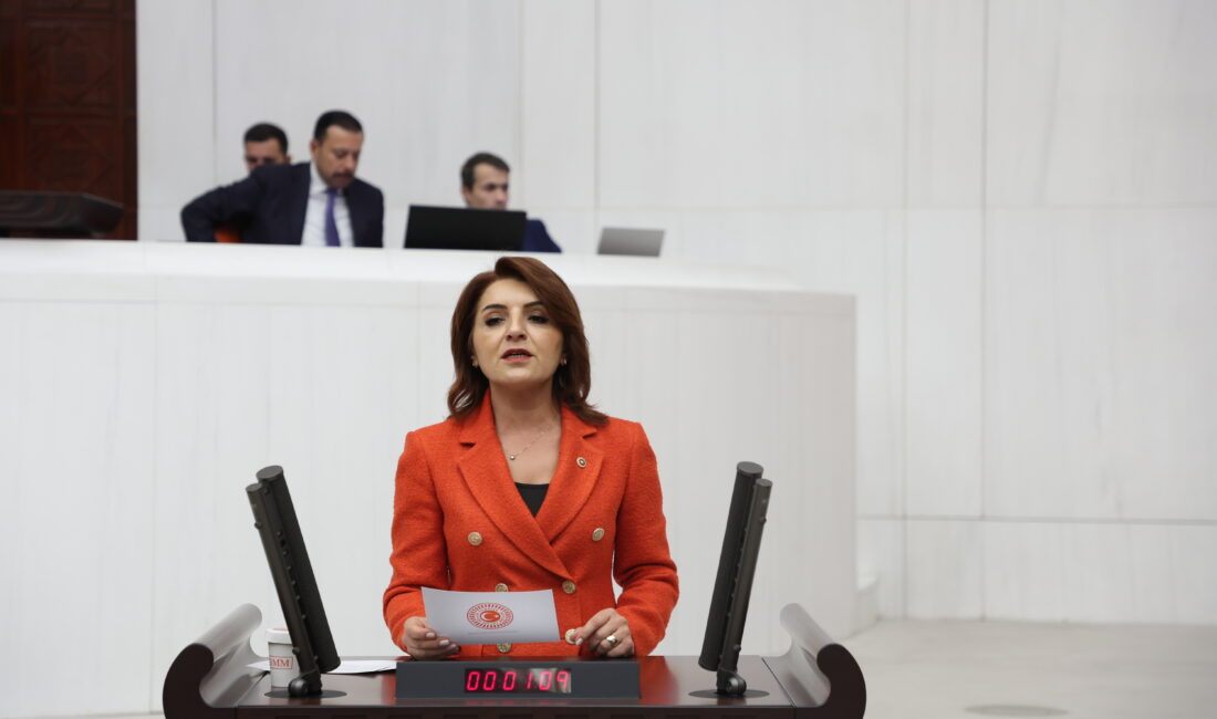 Gülcan Kış: CHP’li Belediyeler Rant Düzenine Son Verdi2019 Seçimleri, AKP’nin