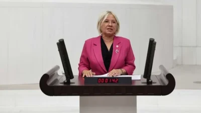 Cumhuriyet Halk Partisi Tekirdağ Milletvekili Nurten Yontar, Plan ve Bütçe