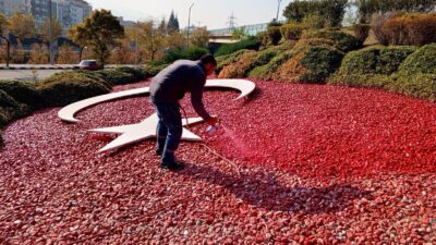 Manisa Büyükşehir Belediyesi Kent Estetiği Daire Başkanlığı, şehir genelinde peyzaj