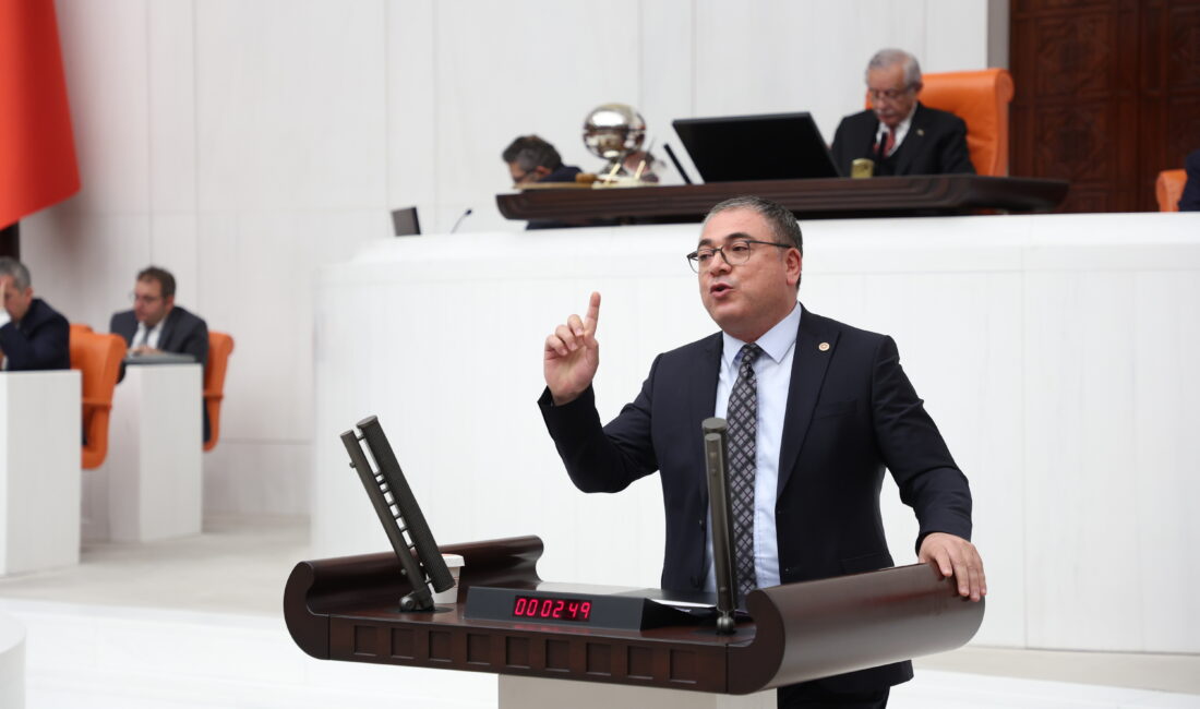 CHP’Lİ KARAKOZ BÜTÇE GÖRÜŞMELERİNDE BAKAN TEKİN’E SERT ÇIKTI: “CUMHURİYET DEĞERLERİYLE