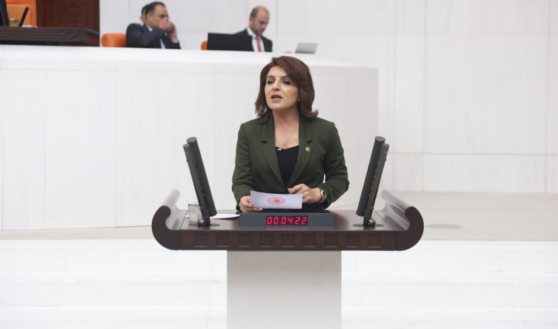 Halkın Alım Gücü Eritiliyor!” TBMM’de görüşülmekte olan 2025 yılı bütçe
