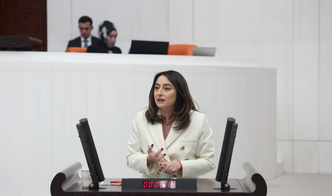 CHP Bartın Milletvekili Av. Aysu Bankoğlu, Gençlik ve Spor Bakanlığı’nın