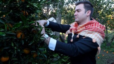 Üretici, Belediyenin Tarımsal Desteklerinden Memnun Bodrum Belediyesi, coğrafi işaretli Bodrum