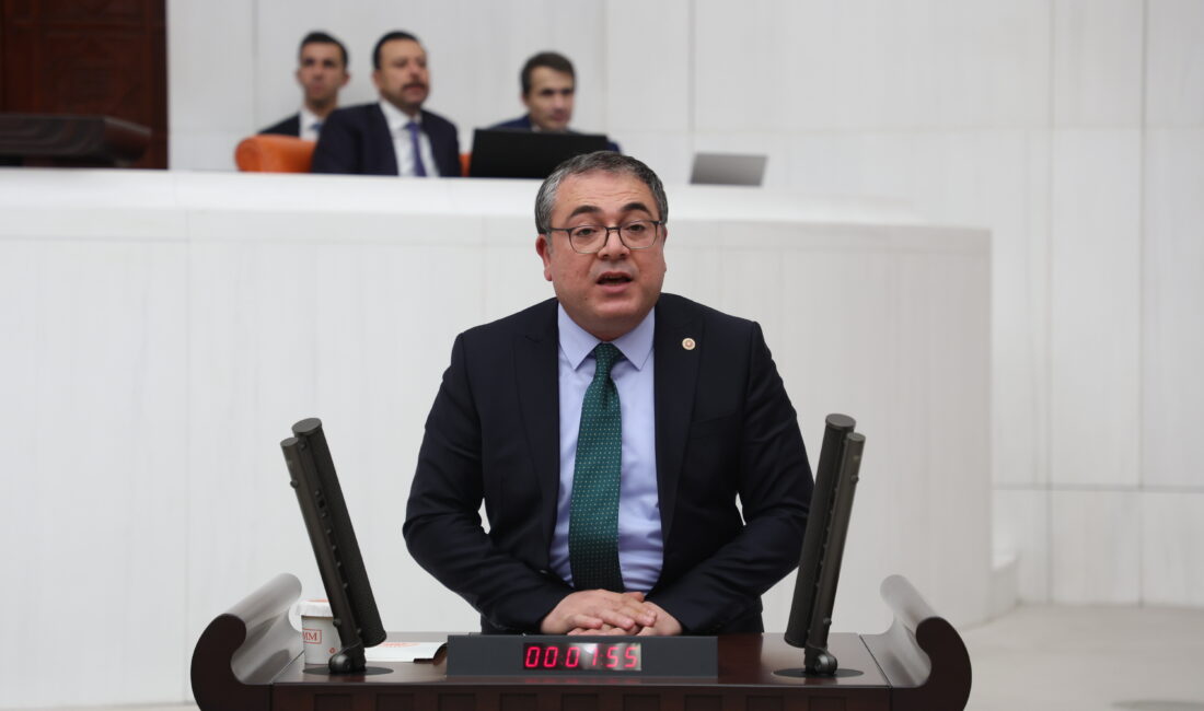 Cumhuriyet Halk Partisi (CHP) Aydın Milletvekili Evrim Karakoz TBMM’de asgari