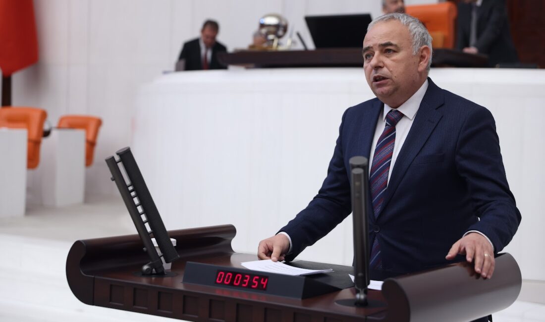 TBMM Plan ve Bütçe Komisyonu Üyesi, CHP Manisa Milletvekili Ahmet