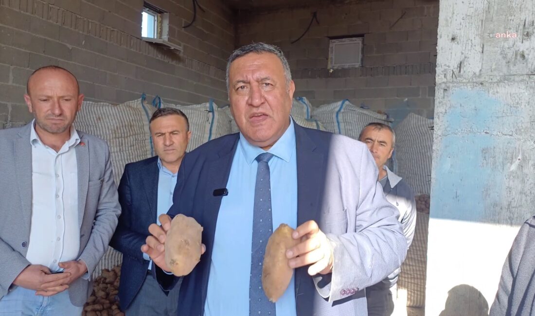 CHP Niğde Milletvekili Ömer Fethi Gürer, Niğde’nin Çiftlik ilçesinde patates