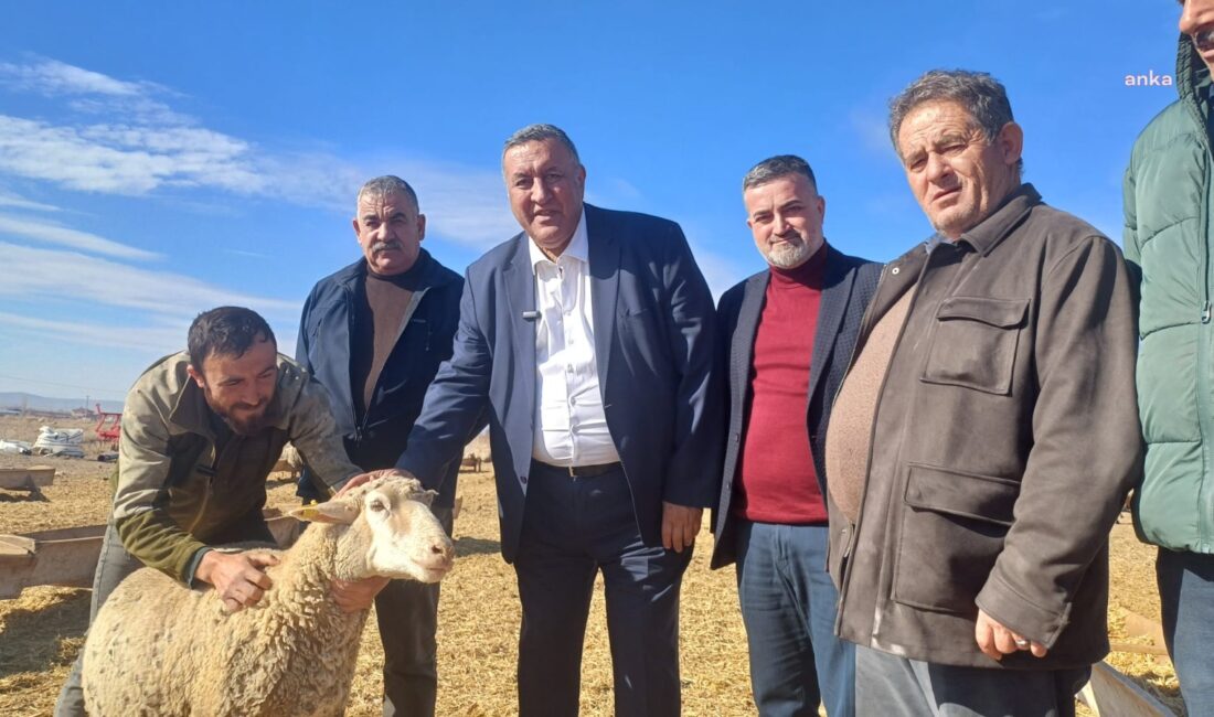 CHP Niğde Milletvekili Ömer Fethi Gürer, hayvancılıkta yaşanan sorunlara ilişkin olarak,