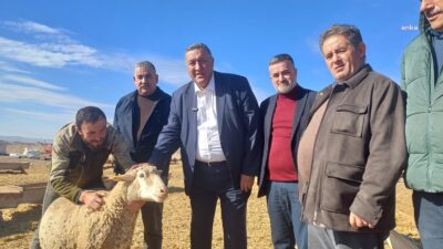CHP Niğde Milletvekili Ömer Fethi Gürer, hayvancılıkta yaşanan sorunlara ilişkin olarak,