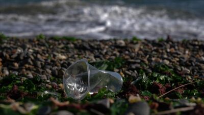 İzmir Cumhuriyet Başsavcılığı tarafından İzmir Körfezi’ndeki kirliliğe neden olan sorumlular