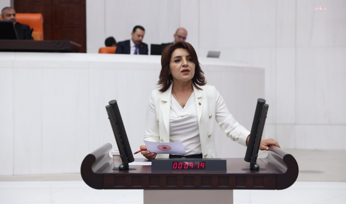 CHP Mersin Milletvekili Gülcan Kış, Çukurova Bölgesi’nde 2025 yılı Şubat