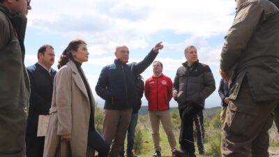 Turgutlu Belediyesi, sokak hayvanlarının yaşam koşullarını iyileştirmek ve onlara doğal