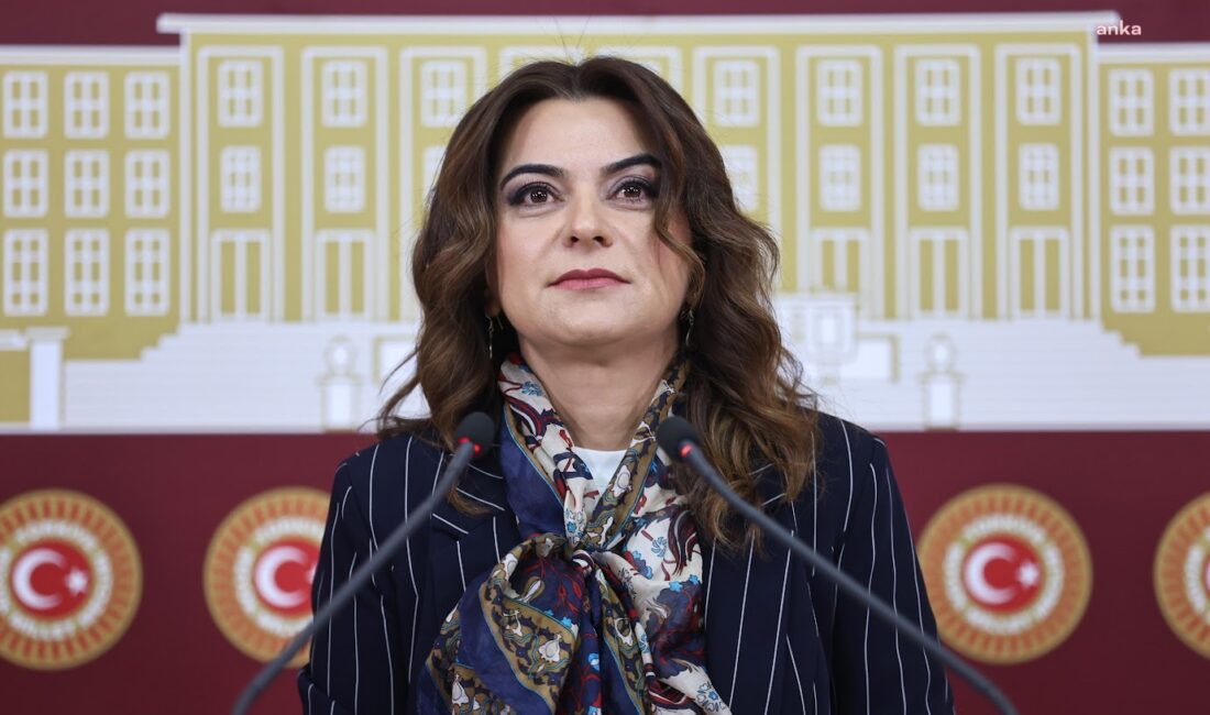 DEM Parti Grup Başkanvekili Gülistan Kılıç Koçyiğit, Türkiye’de yaşanan son