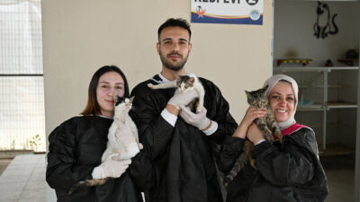 Mersin Büyükşehir Belediyesi, Veteriner İşleri Dairesi Başkanlığı bünyesinde faaliyetlerini sürdüren