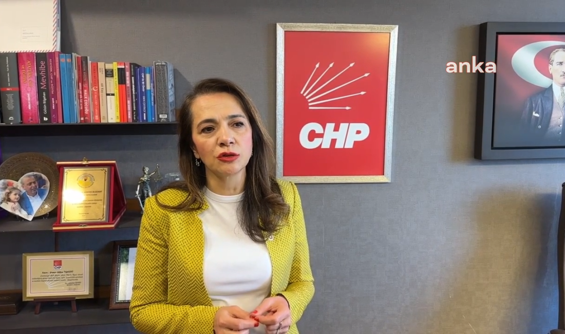 CHP İstanbul Milletvekili Gamze Akkuş İlgezdi, rahim ağzı kanserinin önlenebilir