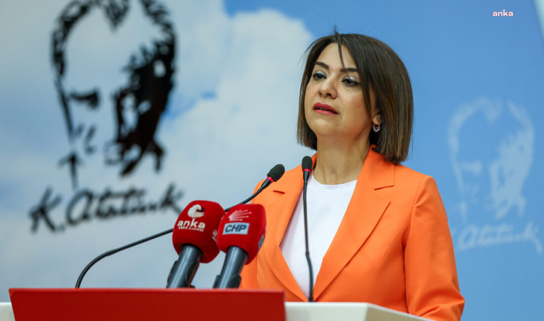 CHP’li Taşcıer: ”İktidar, halkın yanında olan projeleri cezalandırmak yerine, hayat