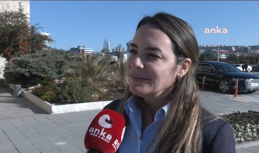  İYİ Parti Adana Milletvekili Ayyüce Türkeş Taş, “Kadının son yıllarda