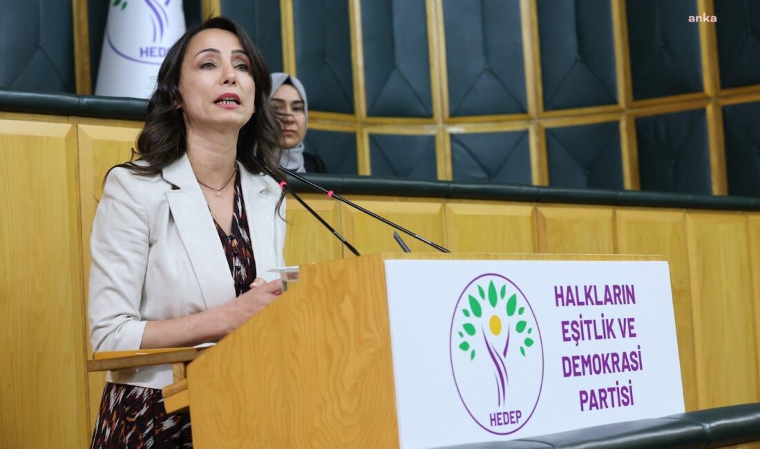 DEM Parti Eş Genel Başkanı Tülay Hatimoğulları, İstanbul Üniversitesi’nin İBB