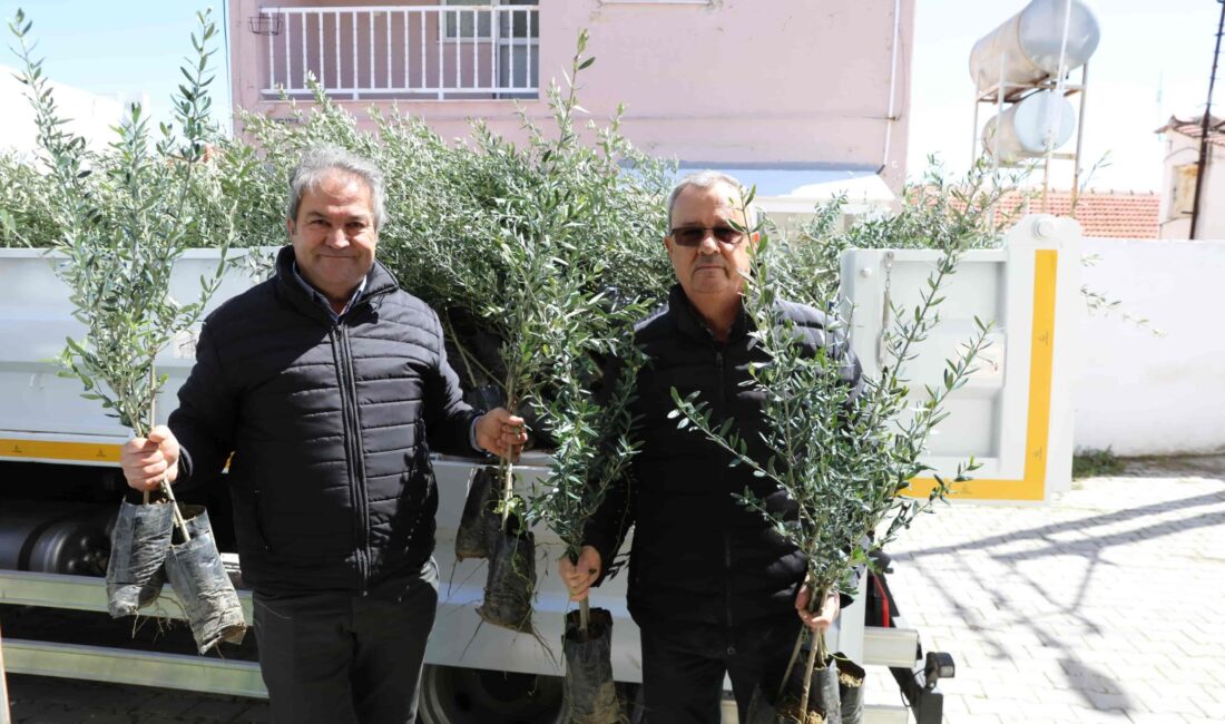 Zeytinde “UrlaModeli” hayata geçiyorUrla’da zeytin seferberliği20 mahalleye fidan desteği Urla