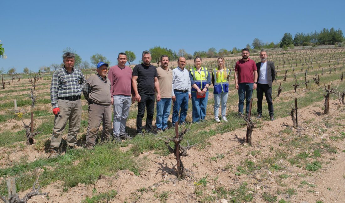 Büyükşehir Belediyesi tarım alanlarında don zararını inceliyor Geçtiğimiz günlerde Denizli