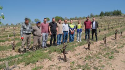 Denizli Büyükşehir üreticileri yalnız bırakmıyor Büyükşehir Belediyesi tarım alanlarında don zararını inceliyor Geçtiğimiz günlerde Denizli