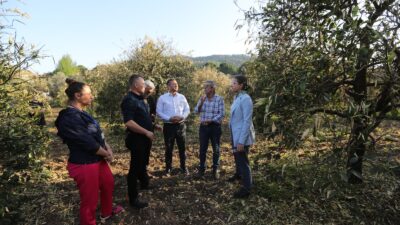 Don Zararını Azaltmak İçin Narenciye Üreticilerine GübreDağıtıldı Muğla Büyükşehir Belediyesi, zirai dondan etkilenen Ortaca, Dalaman veKöyceğiz’deki üreticilere