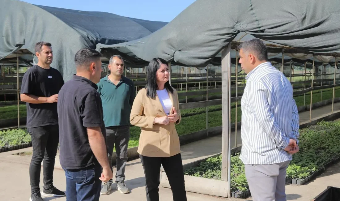 Edirne Belediyesi seraları