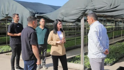 Edirne Belediyesi seraları