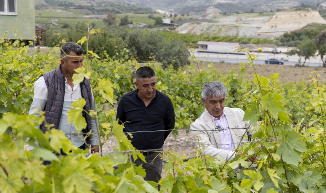 BÜYÜKŞEHİR’DEN ÜRETİCİLERE “TARIMSAL SULAMA EĞİTİMLERİ” TARSUS SAYKÖY’DE ÇİFTÇİLERE DAMLA SULAMA