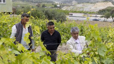 MERSİN BÜYÜKŞEHİR’İN ÜRETİCİLERE HER KONUDA DESTEĞİ DEVAM EDİYOR BÜYÜKŞEHİR’DEN ÜRETİCİLERE “TARIMSAL SULAMA EĞİTİMLERİ” TARSUS SAYKÖY’DE ÇİFTÇİLERE DAMLA SULAMA