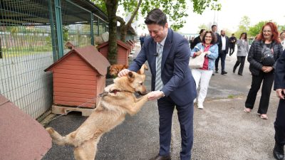 Sahipsiz hayvanlara barınma, bakım ve tedavi hizmeti sunan Kadıköy Belediyesi