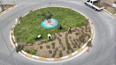 Balıkesir Büyükşehir Belediyesi ürettiği çimleri kullanıyor Balıkesir’de belediye kendi çimini üretiyor
