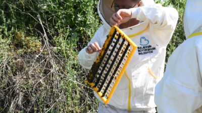 Balıkesir Büyükşehir’den arıcılık sektörüne önemli destek Sürdürülebilir kalkınma hedefleri kapsamında arıcılığı destekleyen Balıkesir Büyükşehir Belediye Başkanı