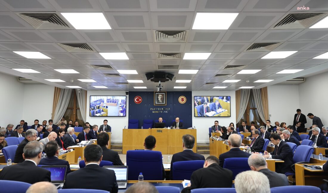 TBMM Plan ve Bütçe Komisyonu