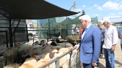 Burhaniye Belediyesi yaklaşan Kurban Bayramı için hazırlıklarını tamamladı. Kurban kesim