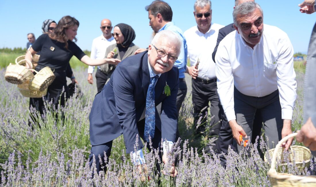 Balıkesir Büyükşehir Belediyesi koordinasyonunda ve Burhaniye Belediyesi ev sahipliğinde bu