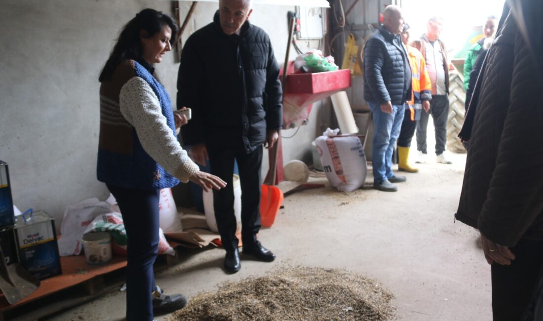 Atakum Belediye Başkanı Serhat Türkel’in öncülüğünde, kentte hayvancılıkla uğraşan ailelere