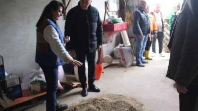 Atakum’da tarımla uğraşan ailelere yem bitkisi desteği Atakum Belediye Başkanı Serhat Türkel’in öncülüğünde, kentte hayvancılıkla uğraşan ailelere