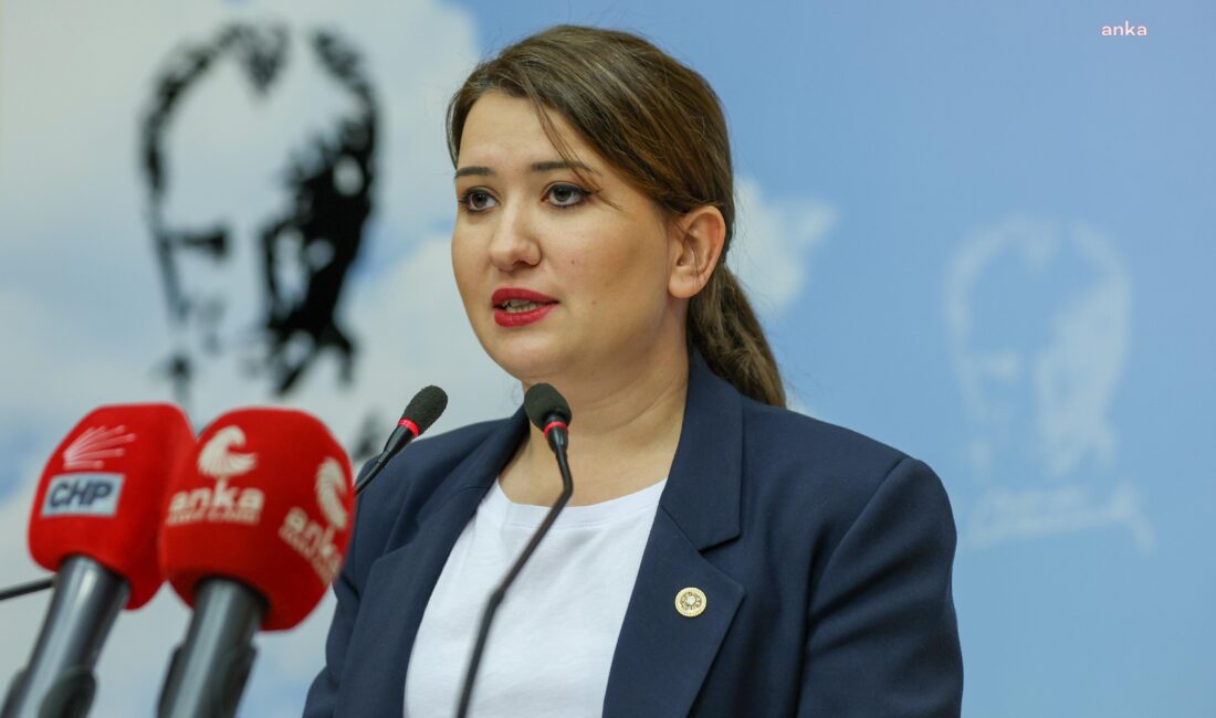 CHP Genel Başkan Yardımcısı Gökçe Gökçen, “CHP sarayda ve yargı
