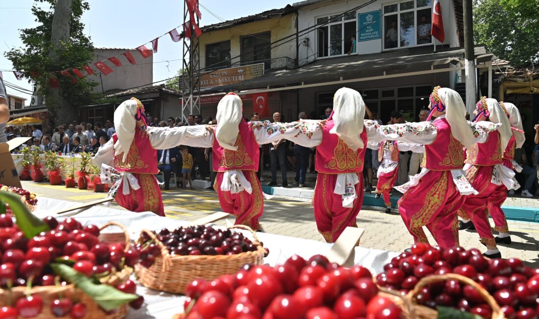 SÜLEYMNAPAŞA'DA BİRBİRİNDEN ÜNLÜ İSİMLER SAHNE ALACAK