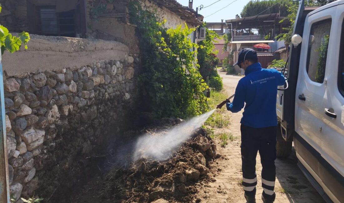 İlaçlama ekipleri tüm ilçelerde