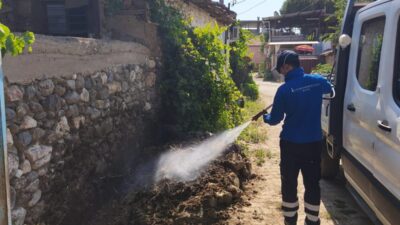 İlaçlama ekipleri tüm ilçelerde