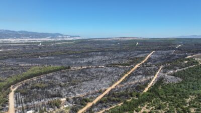 Yanan alanların büyüklüğü Buca’nın yüzölçümünün iki katı İzmir'de bir ayda 26 bin 260 hektar alan yandı