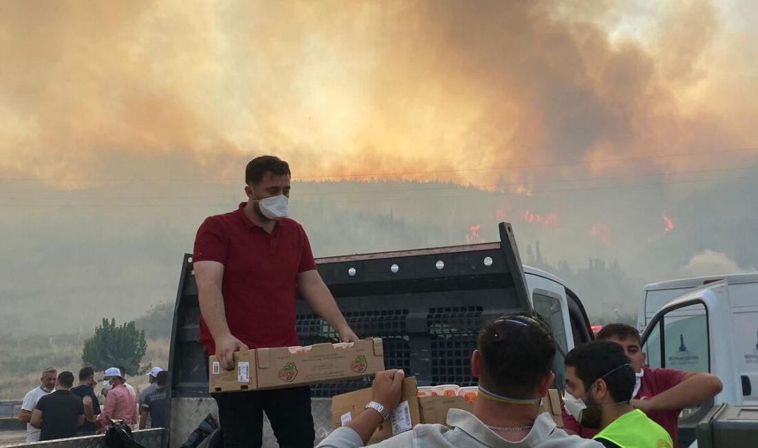 “Bugün ülkemizin dört bir yanında en kıymetli doğal hazinemiz, ormanlarımız