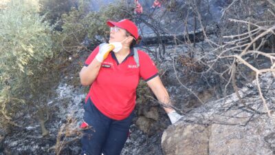 Nazilli Belediyesi Afet ve Acil Durum Ekibi (NAFAD), bölgedeki yangınların