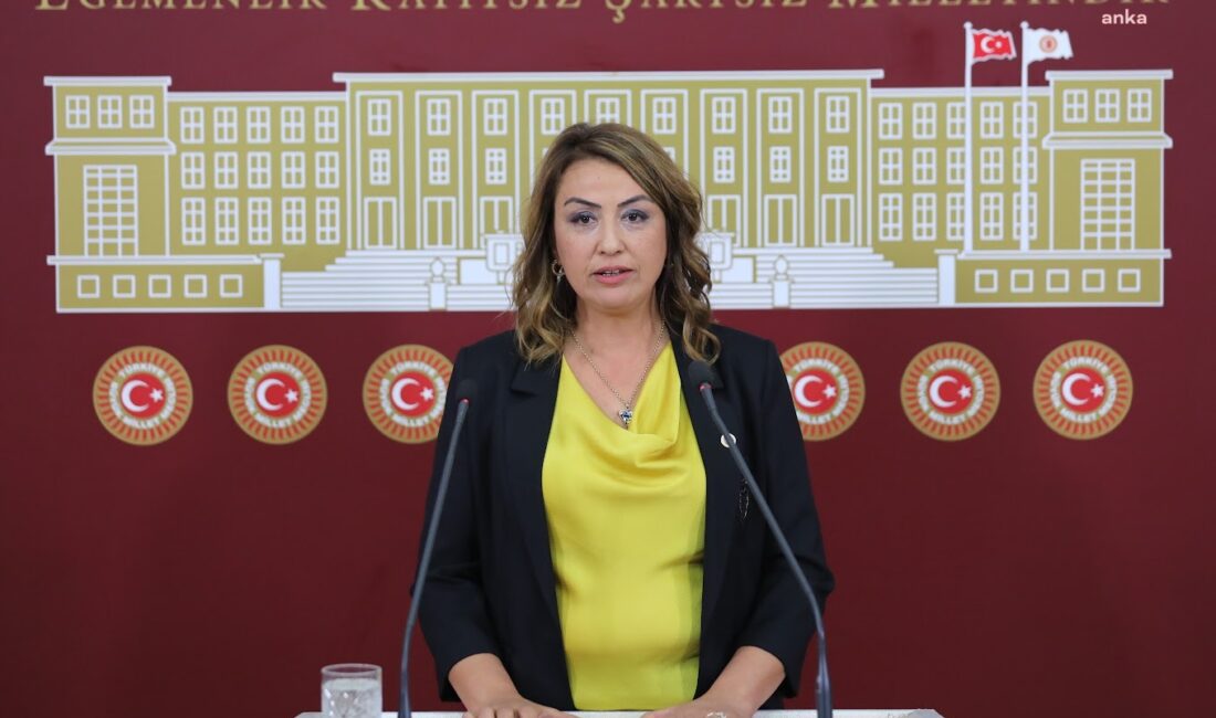 Cumhuriyet Halk Partisi Hatay Milletvekili ve TBMM Katip Üyesi Nermin
