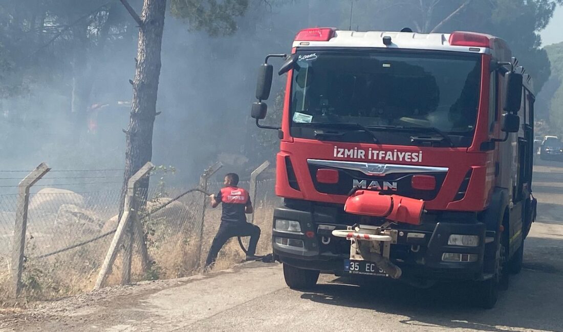 İzmir‘in Bergama ilçesinde sabah saatlerinde başlayan yangın şiddetli rüzgarın etkisiyle
