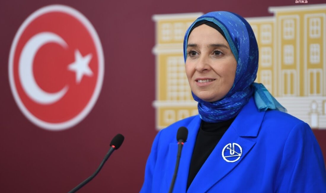DEVA Partisi Genel Başkan Yardımcısı ve İstanbul Milletvekili Elif Esen,